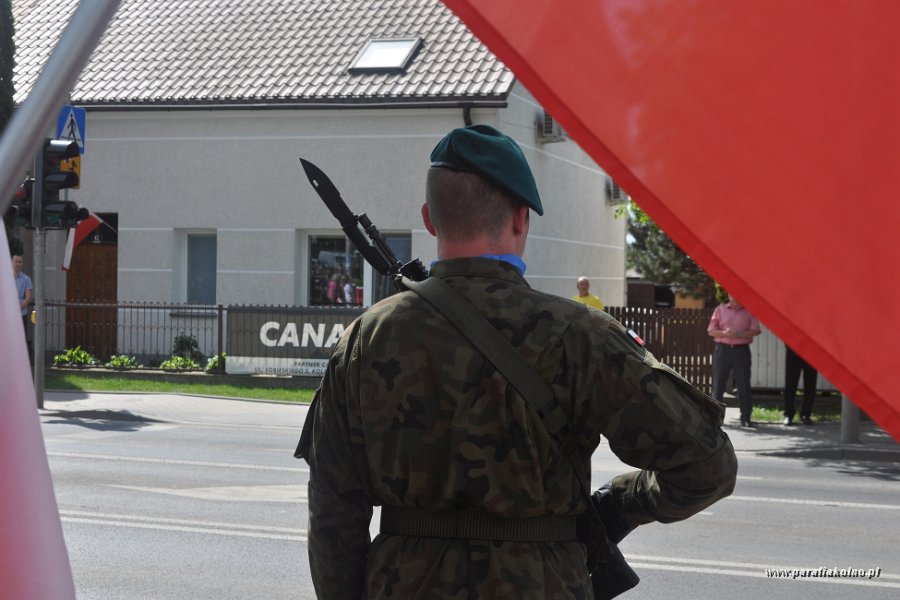 132 Patriotyczna manifestacja.jpg